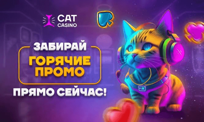 cat-banner